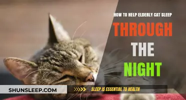 Helping Senior Cats Sleep Better: Tips for Peaceful Nights