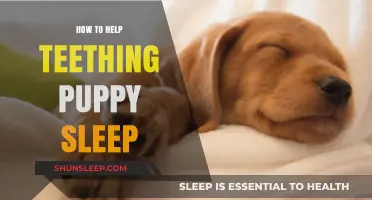 Soothing Teething Puppies: Tips for Better Sleep and Comfort