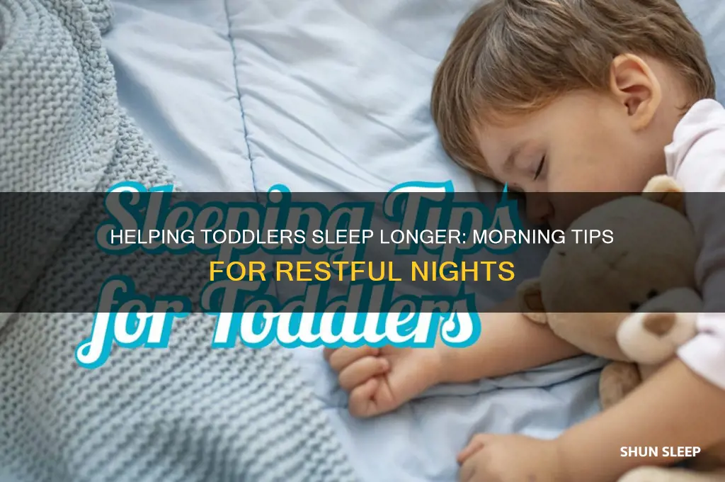 how to help toddler sleep longer in the morning