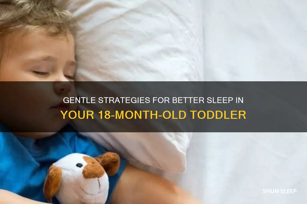 how to help your 18 month old sleep