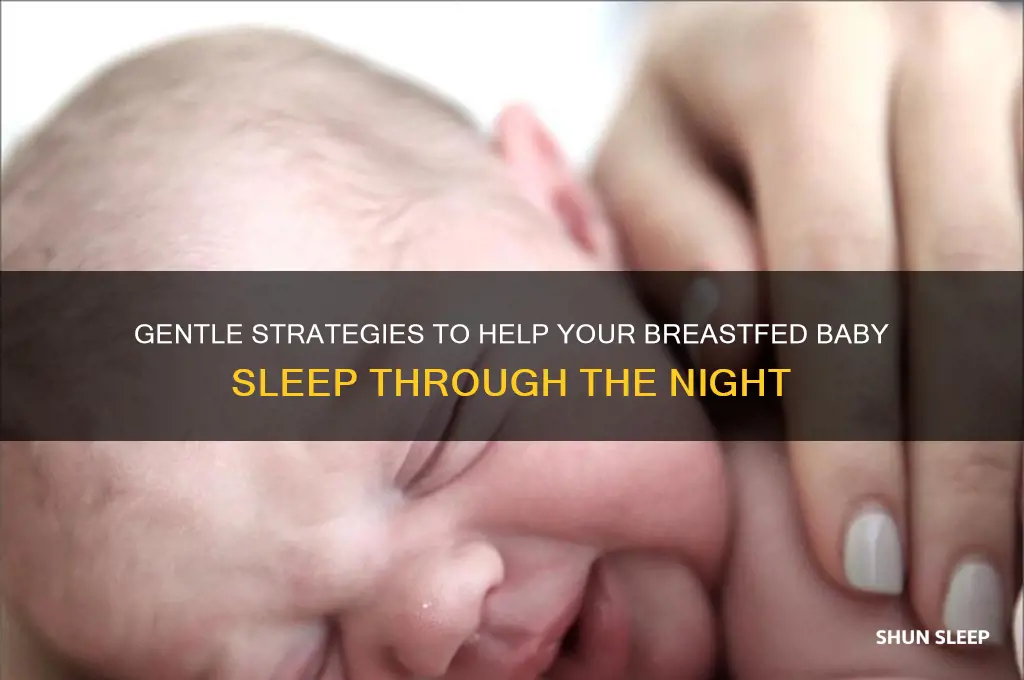 how to help your breastfed baby sleep through the night