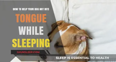 Preventing Tongue Biting in Dogs: Tips for Peaceful Sleep