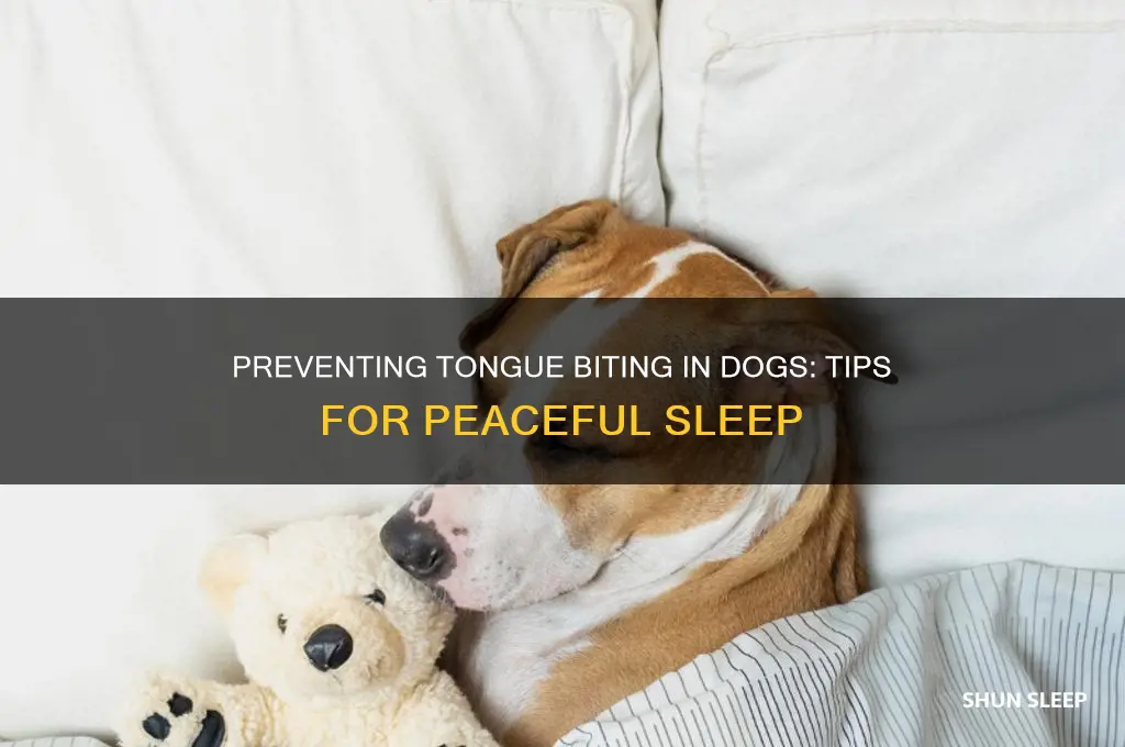 how to help your dog not bite tongue while sleeping