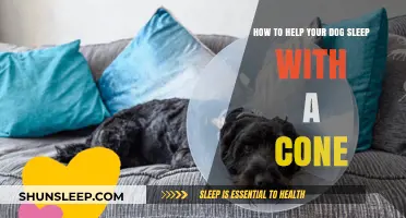 Comfortable Cone Nights: Tips for Helping Your Dog Sleep Peacefully