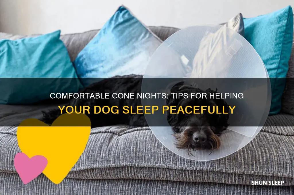 how to help your dog sleep with a cone