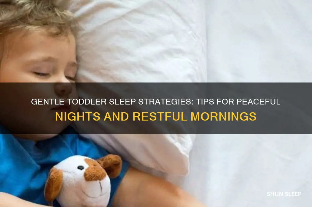 how to help your toddler sleep at night