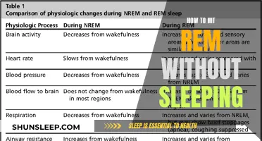 Enter REM Sleep Without Bedtime: Hacks for the Sleep-Deprived