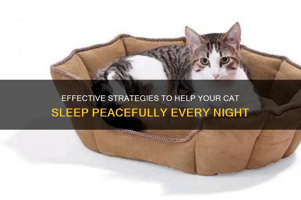 how to i get a at to sleep