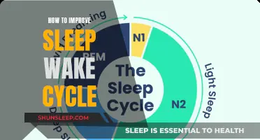 Regain Restful Sleep: Strategies to Optimize Your Sleep-Wake Cycle