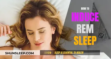 Triggering REM Sleep: Techniques for Dreaming and Memory Formation