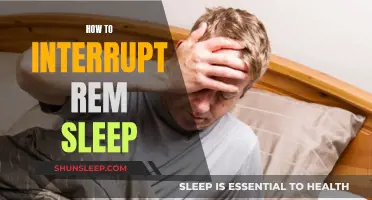 Manipulating REM Sleep: Strategies to Interrupt and Optimize