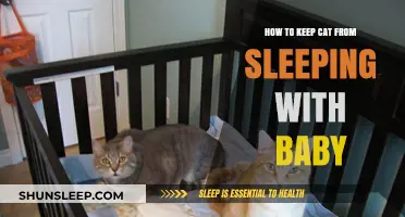 Safe Sleep Solutions: Keeping Your Cat Away from Baby's Crib