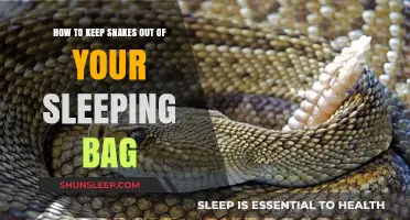 Keep Snakes Away: Tips for a Safe Slumber