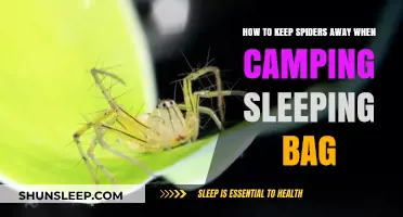 Camping without spiders: Keep your sleeping bag arachnid-free