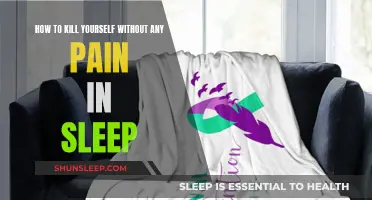 A Peaceful Sleep: Painless Ways to End it All
