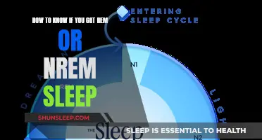 Understanding Sleep: REM vs. NREM Dreams and Patterns