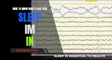 Understanding Your REM Sleep Stages