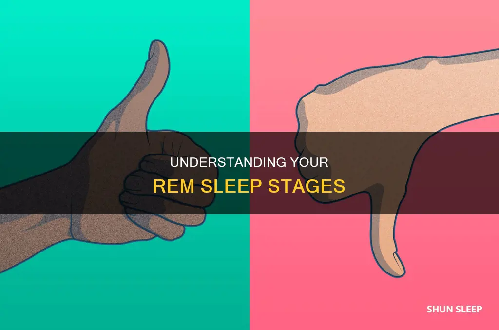 how to know what stage rem sleep im in