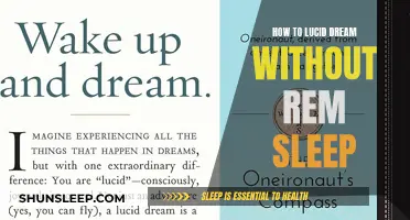 Lucid Dreaming: REM Sleep Not Required