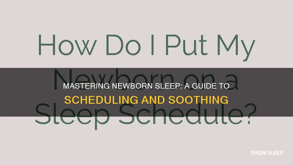 how to manage newborn sleep schedule