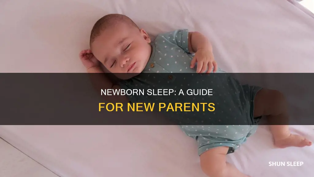 how to newborn sleep