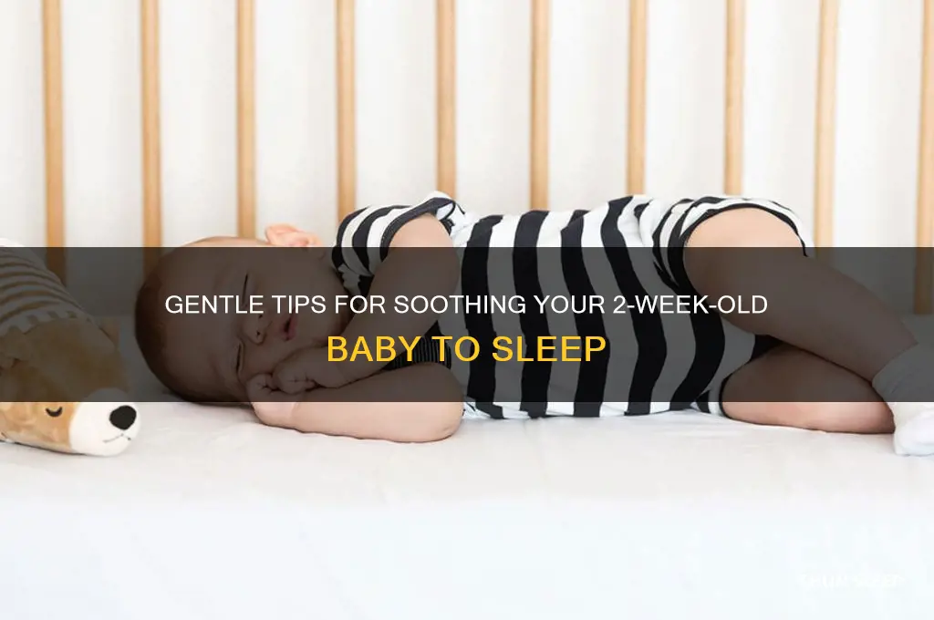 how to put 2 week old baby to sleep