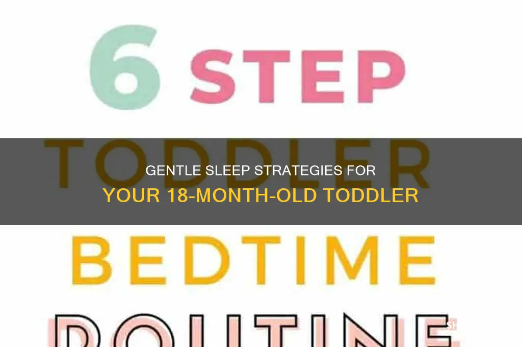 how to put a 18 month baby to sleep