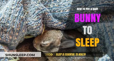 Gentle Tips for Helping Your Baby Bunny Drift Off to Sleep