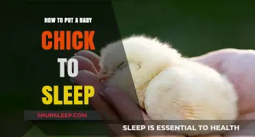 Gentle Techniques to Help Your Baby Chick Sleep Peacefully
