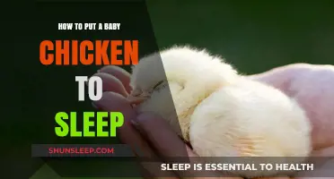 Gentle Techniques to Help Your Baby Chick Sleep Peacefully