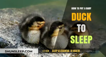Gentle Techniques to Help Your Baby Duck Drift Off Peacefully