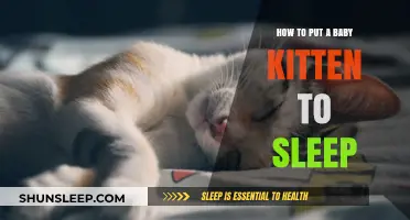 Gentle Ways to Help Your Baby Kitten Sleep Peacefully
