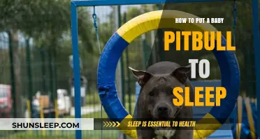 Euthanizing Your Baby Pitbull: A Compassionate Guide for Pet Owners