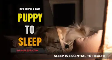 Gentle Ways to Help Your Baby Puppy Sleep Peacefully at Night