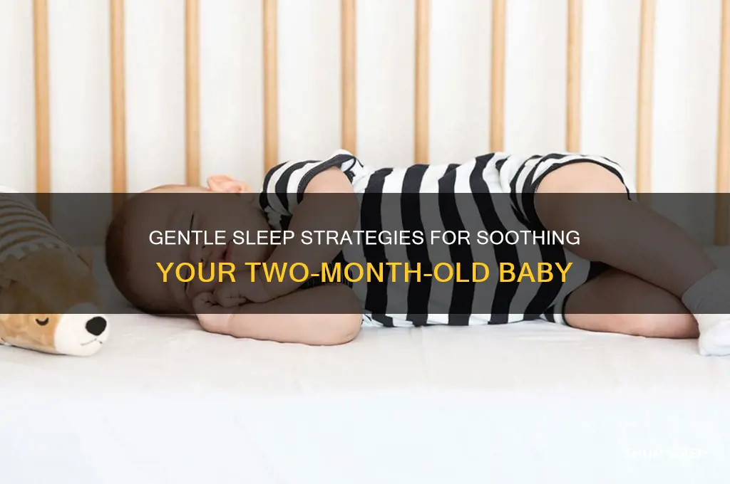 how to put a two month old baby to sleep