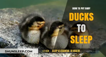 Gentle Techniques for Soothing Baby Ducks to Sleep Peacefully