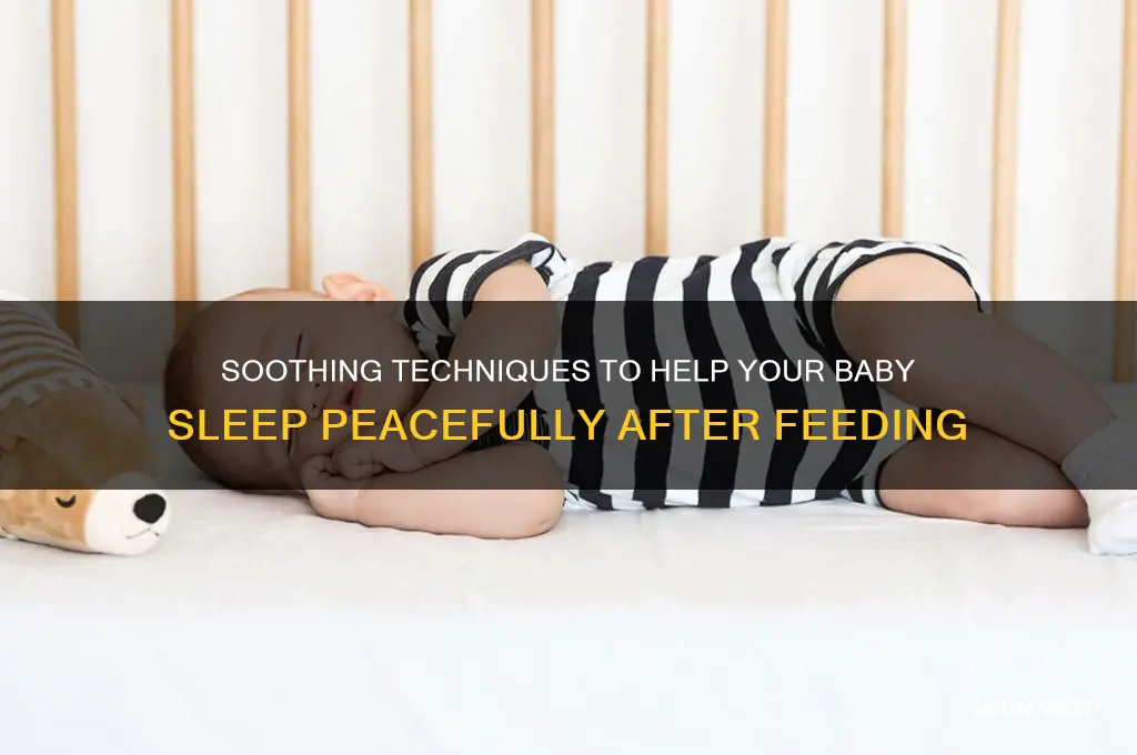 how to put baby to sleep after feeding