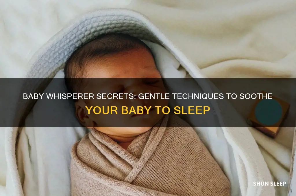 how to put baby to sleep baby whisperer
