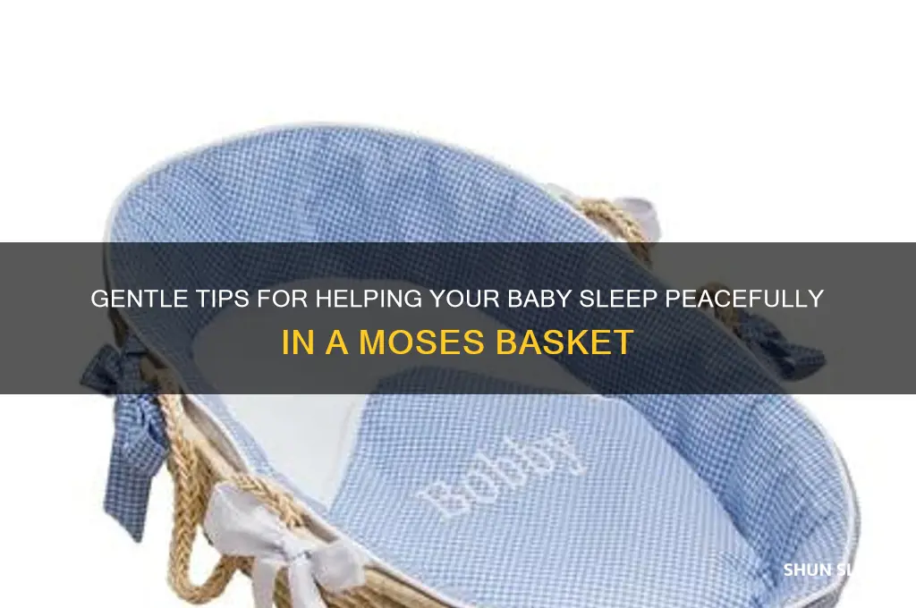 how to put baby to sleep in moses basket