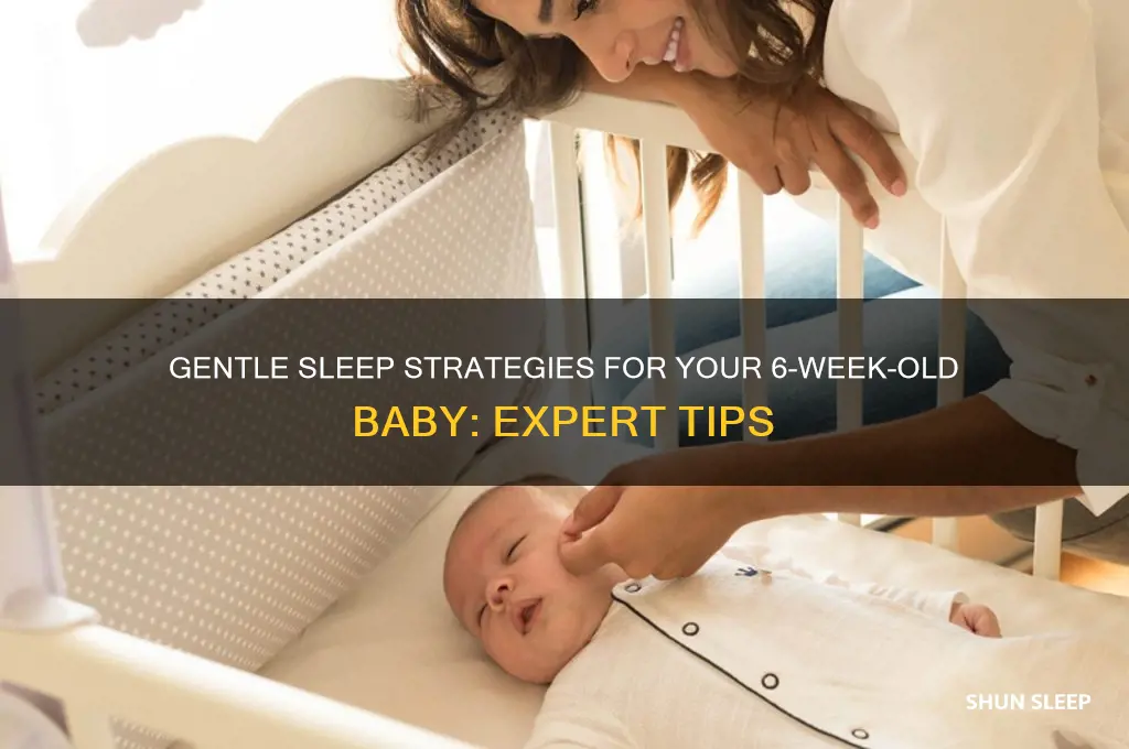 how to put my 6 week old baby to sleep