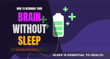 Recharge Your Brain Without Sleep: Quick and Easy Tips