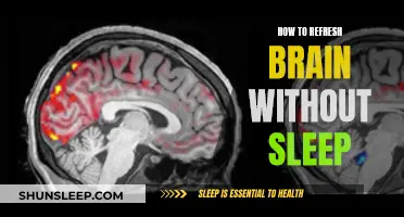Revitalize Your Mind: Quick Brain Refreshers Without Sleep