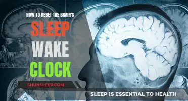 Resync Your Sleep-Wake Cycle: Tips for Resetting Your Brain Clock