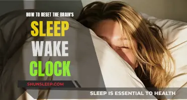 Reset Your Sleep-Wake Cycle: Tips for a Better Body Clock