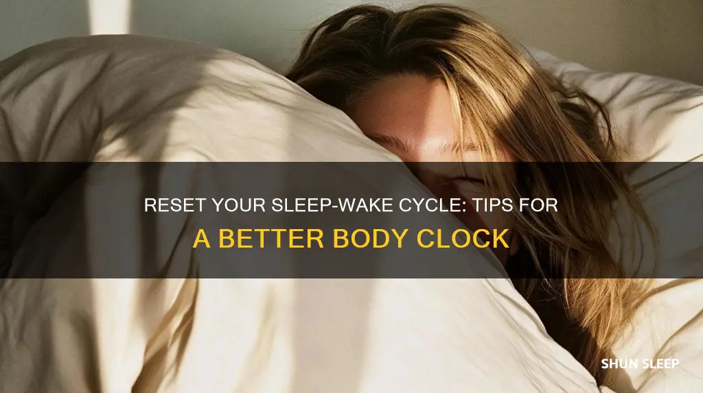 how to reset the brain
