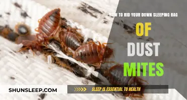 Keep Your Sleeping Bag Dust Mite-Free: Tips to Know