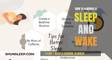 Master Your Sleep Schedule: Tips for a Consistent Wake-Up Routine