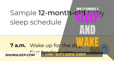 Developing a Sleep and Wake Schedule for a Productive Day