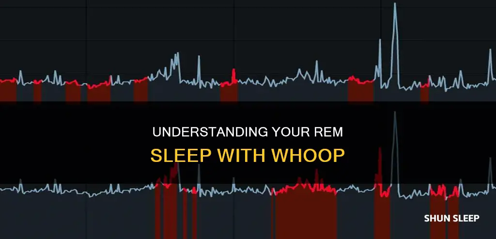 how to see rem sleep on whoop