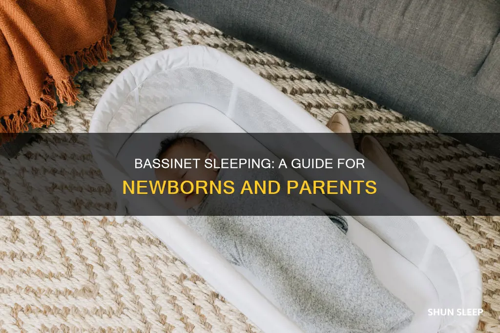 how to sleep a newborn in a bassinet